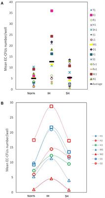 Intermittent Hypoxia Induced Formation of “Endothelial Cell-Colony Forming Units (EC-CFUs)” Is Affected by ROS and Oxidative Stress